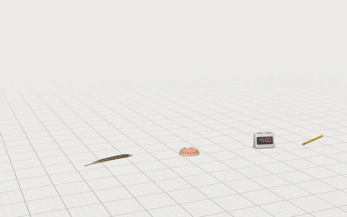 Illustration of the 5 zoology textbooks to scale, next to a barred feather, a scallop shell, a study timer and a pencil for size